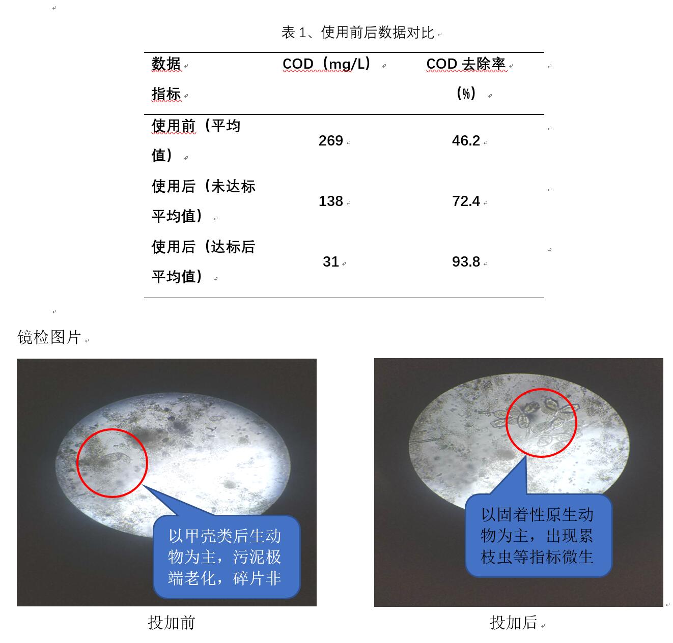 1532500982129973.jpg 3.jpg