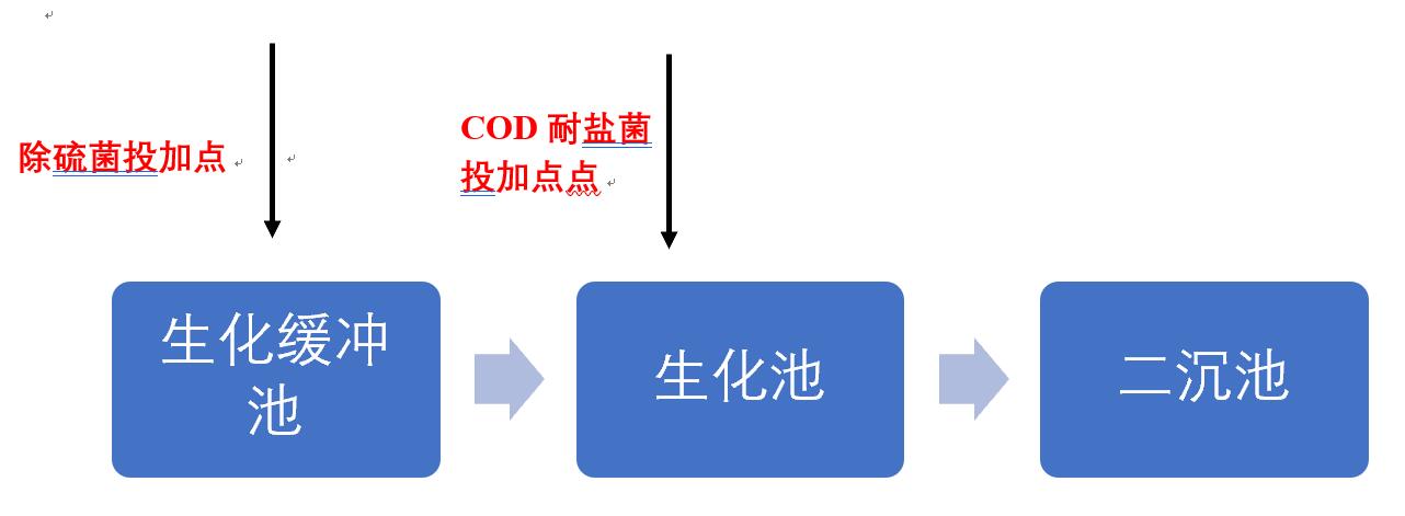 1532503456711745.jpg 5.jpg