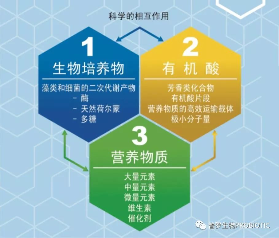 1560748968915177.jpg 1560748968915177.jpg