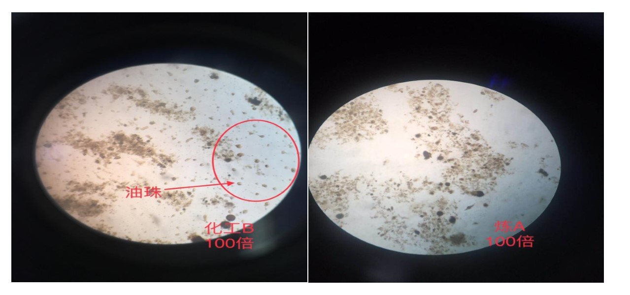 1569392654249574.jpg 1569392654249574.jpg