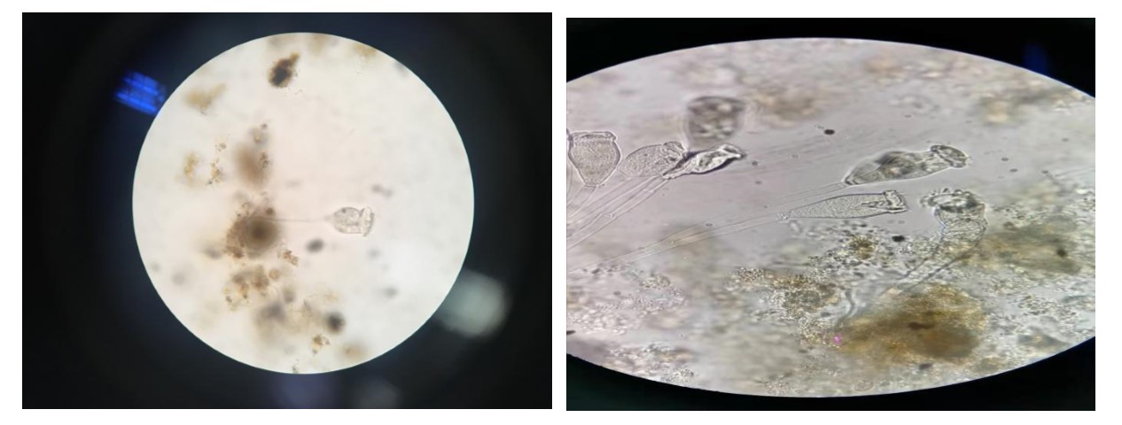 1569392678898497.jpg 1569392678898497.jpg