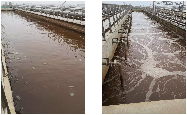 1584078587737586.png 2.png