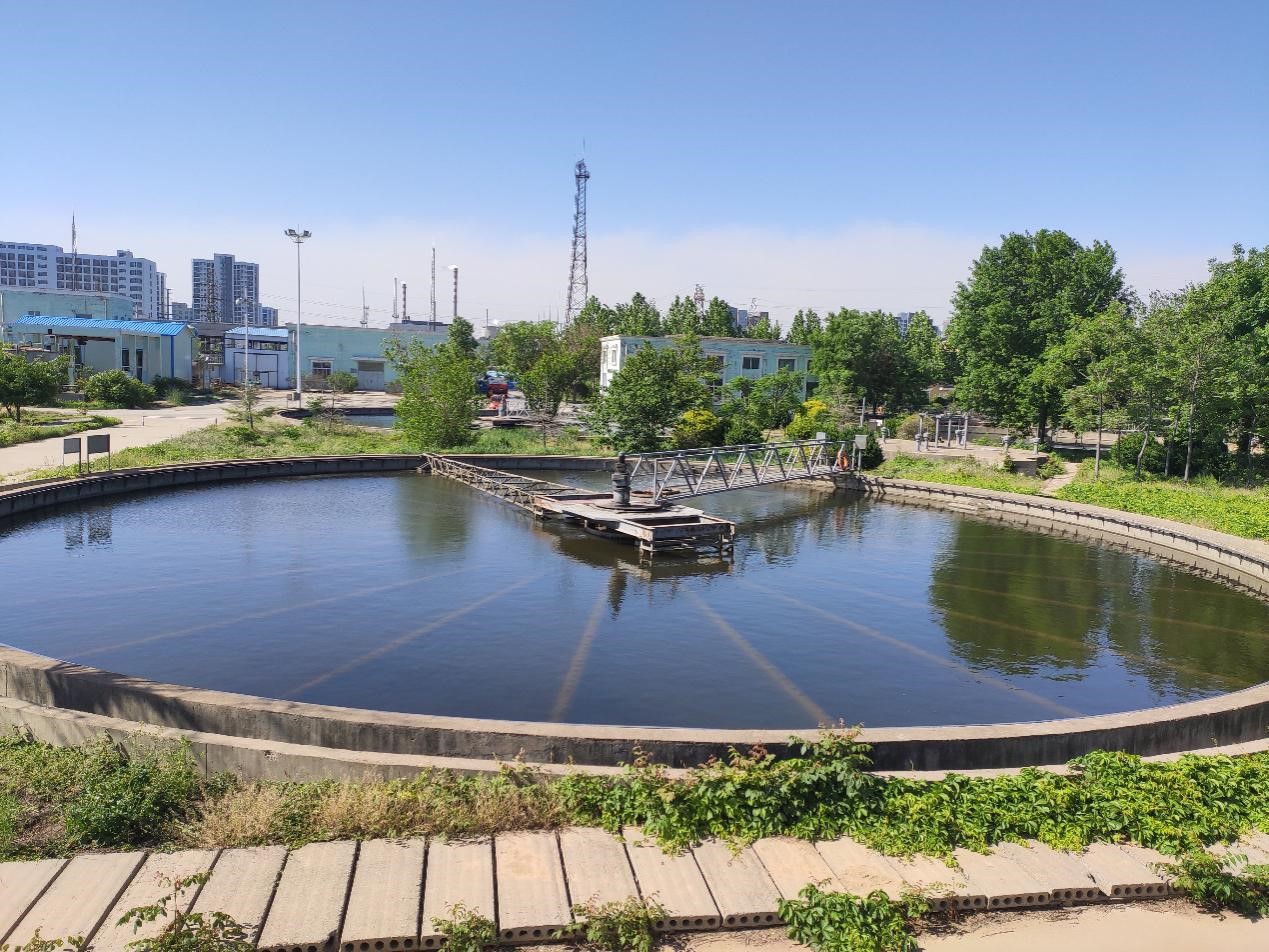 1590563916645647.jpg 1590563916645647.jpg