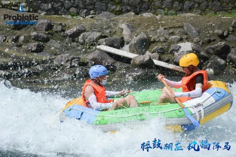 普羅生物.jpg 普羅生物.jpg