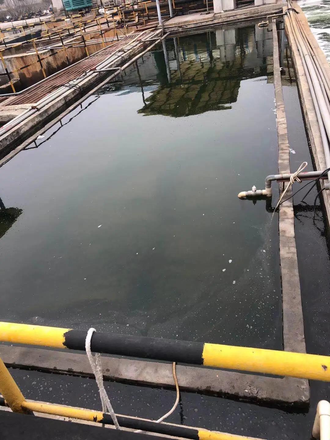 1612321843873146.jpg 1612321843873146.jpg