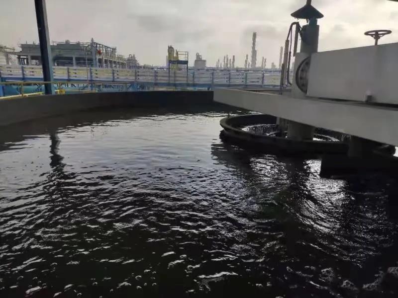 反硝化菌種 反硝化菌種