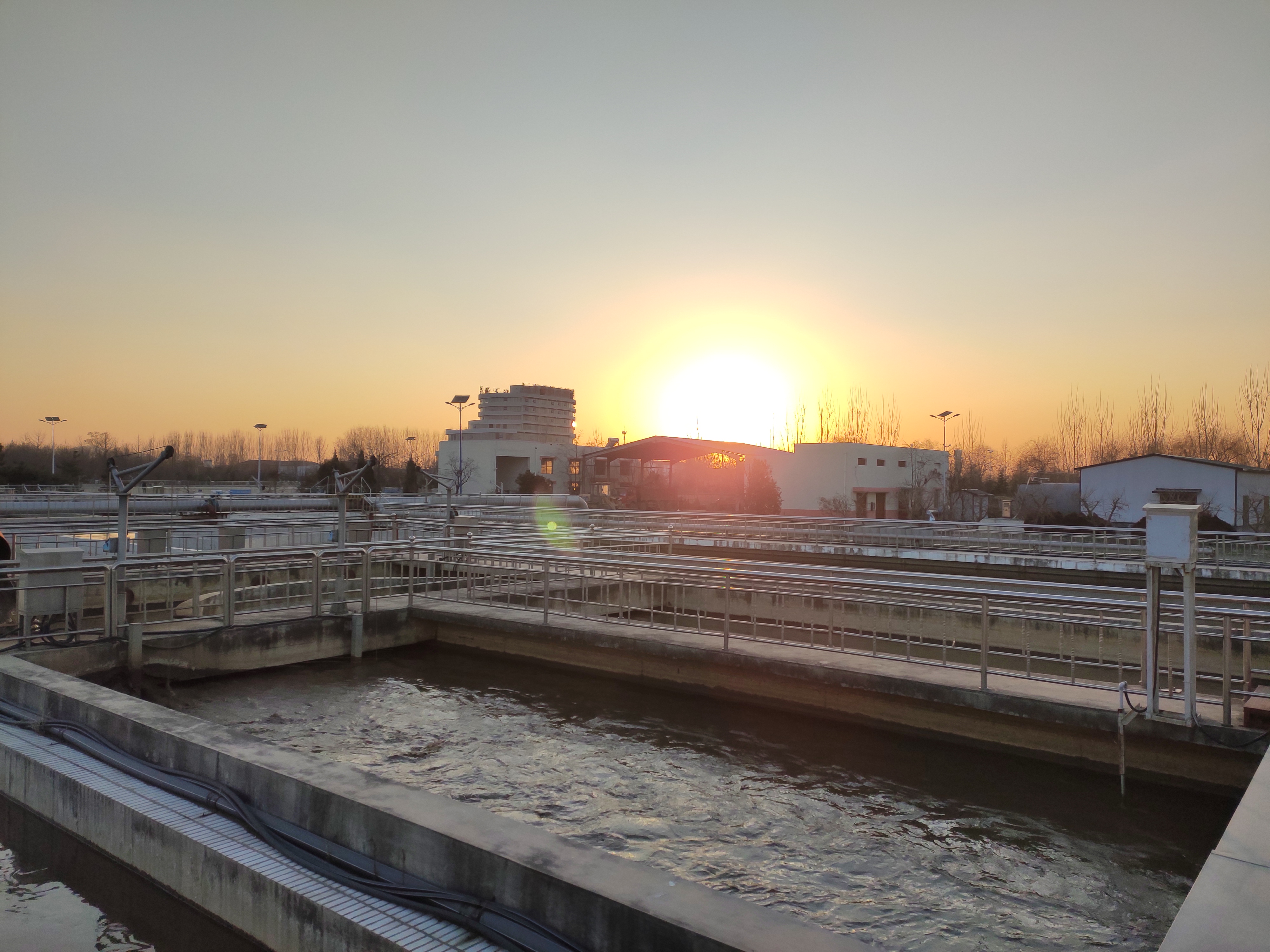 1664515646564208.jpg 1664515646564208.jpg