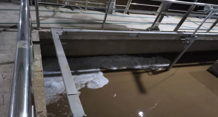 1669800226568125.png 圖片3.png