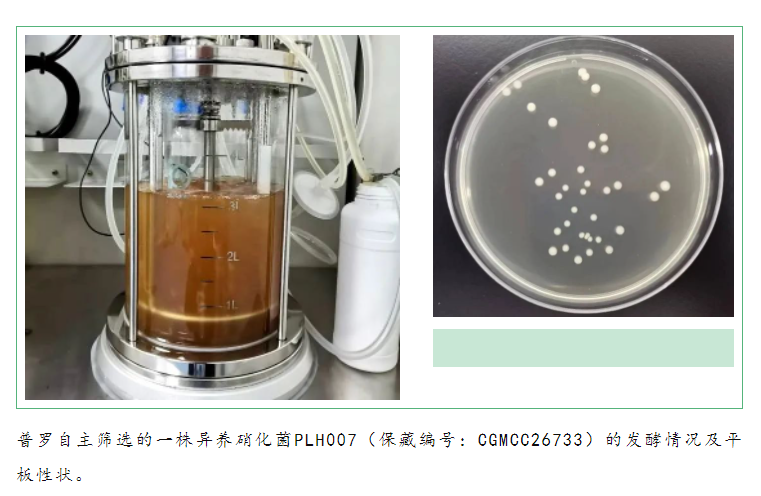 1683884739750233.png image.png