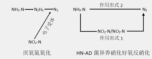 1686042758532684.png 22.png